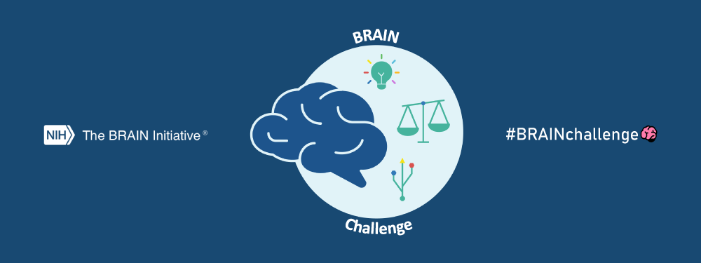 The BRAIN Challenge 2.0: Ethical Considerations of BRAIN Technologies