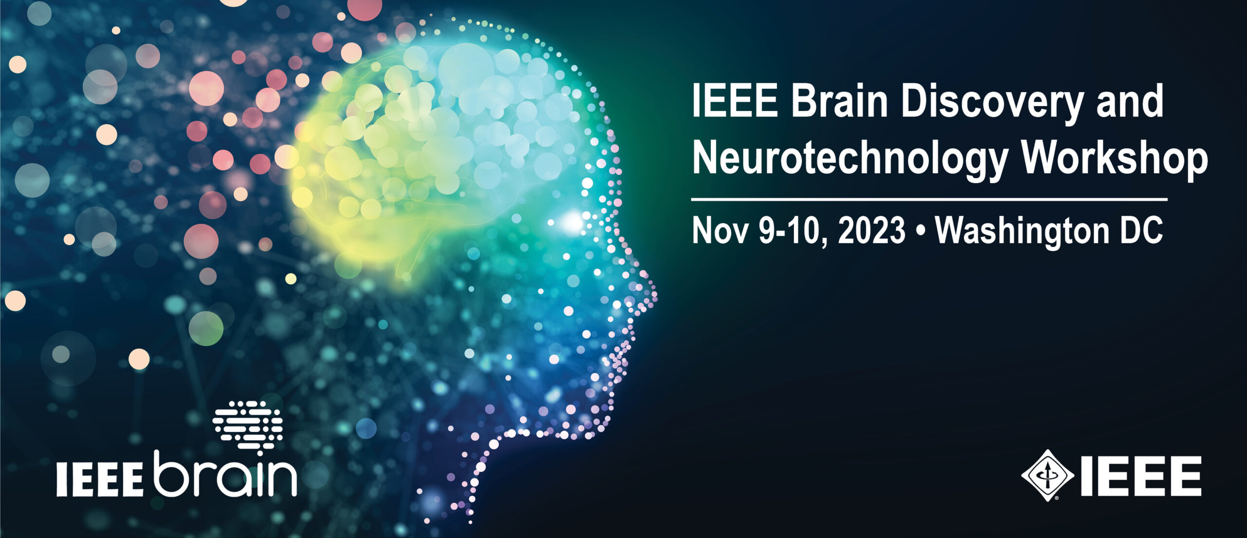 IEEE Brain Discovery and Neurotechnology Workshop